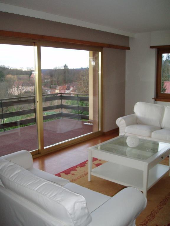 Villa Du Lion D'Or La Petite-Pierre Szoba fotó